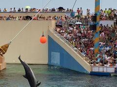 -秦皇岛乐岛海洋王国