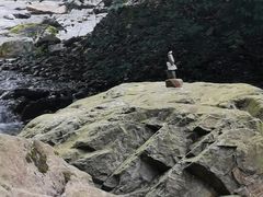 -西岭雪山大飞水景区