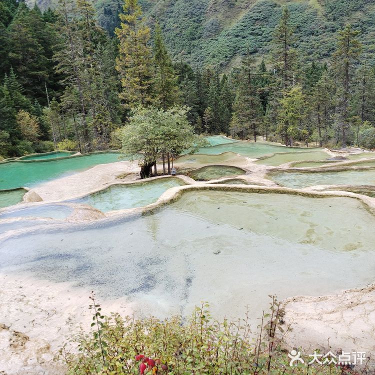 九寨沟~黄龙｜一场说走就走的旅行