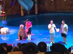 -烟台海昌鲸鲨海洋公园