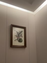 -美丽田园