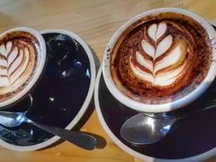 -Hash Specialty Coffee