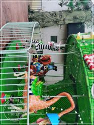 -宝燕乐园(闵行旗舰店)