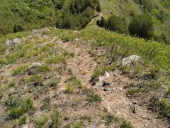 -北京鹫峰国家森林公园