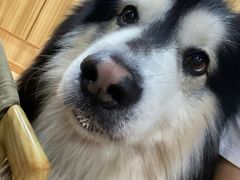 -白兔子密室(长寿路店)