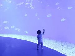 -哈尔滨波塞冬海底世界