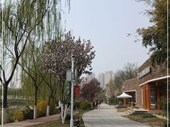 -南翠屏公园