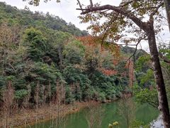 -广州市石门国家森林公园