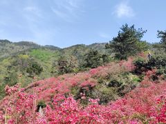 -木兰云雾山