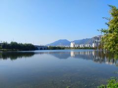 飞来湖湿地公园-飞来湖湿地公园