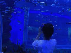 -石家庄极地海洋世界