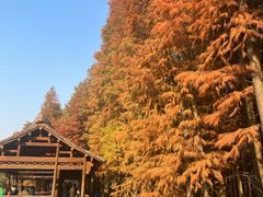 -采石矶景区