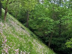 -西湖风景区-江洋畈生态公园
