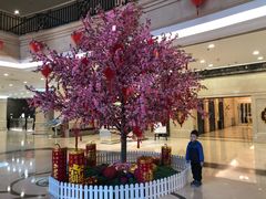 -北京广安门维景国际大酒店