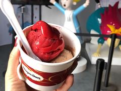 -哈根达斯(朝阳大悦城店)