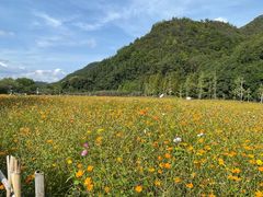 -贵阳市花溪国家城市湿地公园