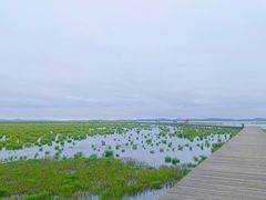 -花湖生态旅游区