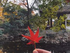 -秋霞圃