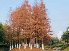 -绍兴镜湖国家城市湿地公园
