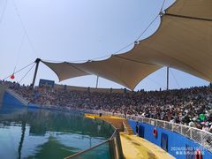 -秦皇岛乐岛海洋王国