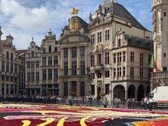 -布鲁塞尔大广场