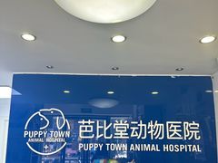 -芭比堂动物医院·心脏科·老年急重症·夜诊·吉雅分院
