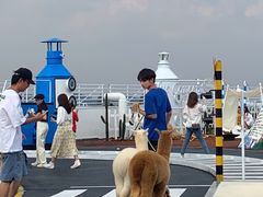 -Blue Concept Cafe&Farm·關於藍