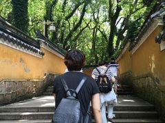 -普陀山风景名胜区-法雨禅寺