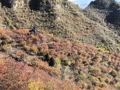 -狼牙山风景区