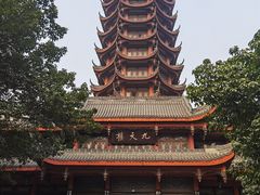 -塔子山公园