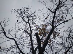 -北京邮电大学-清真餐厅