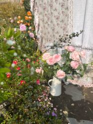 -WAVE SODA摄影工作室