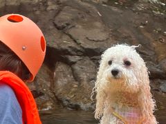 -安吉龙王山峡谷漂流