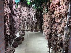 -新疆国际大巴扎