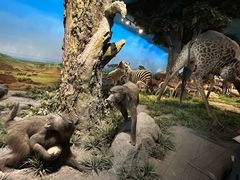 -国家自然博物馆