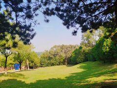 -云岗森林公园