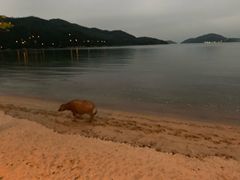 -香港银矿湾渡假酒店