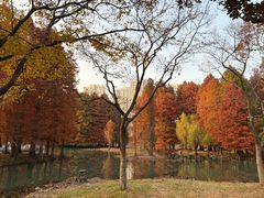 -白塘生态植物园