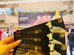 -上海博物馆(人民广场馆)