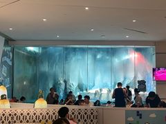 -帝企鹅自助餐厅•儿童岛•真企鹅(长隆企鹅酒店)