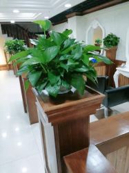 -YESIDO椰岛造型烫发染发