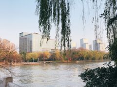 -运河游船(武林门码头)