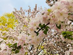 -大望京儿童游乐场