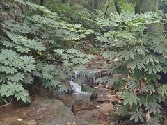-虞山风景区