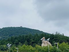 -帽儿山国家森林公园