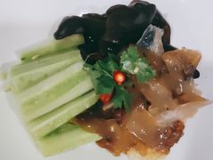 -天天鱼港·海鲜·鲅鱼水饺·招牌烤鸭(黄骅店)
