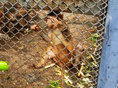 -长白岛森林公园