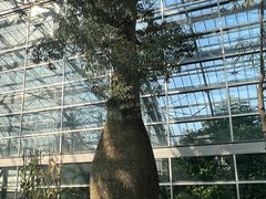 -南山植物园