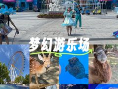 -石家庄极地海洋世界