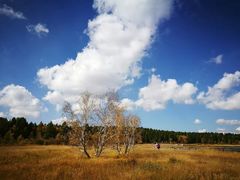 -塞罕坝国家级自然保护区